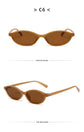 Retro Oval Frame Sunglasses – Fashion Personalized Trendy Small Frame, Punk Cat Eye Sunshade