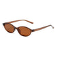 Retro Oval Frame Sunglasses – Fashion Personalized Trendy Small Frame, Punk Cat Eye Sunshade